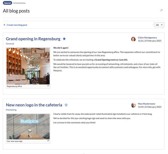 File:Manual:blog special page-2.png